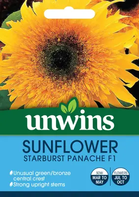 Sunflower Starburst Panache F1 - image 2