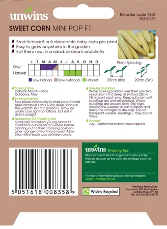 Sweet Corn Mini Pop F1 - image 2