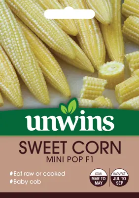 Sweet Corn Mini Pop F1 - image 1