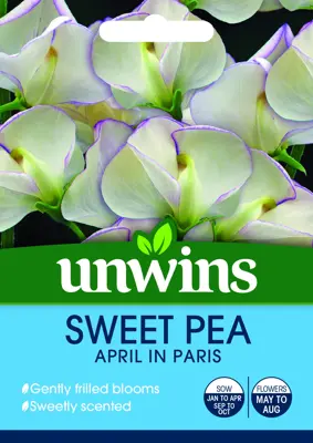 Sweet Pea April in Paris - image 2