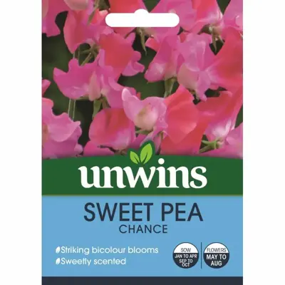 Sweet Pea Chance