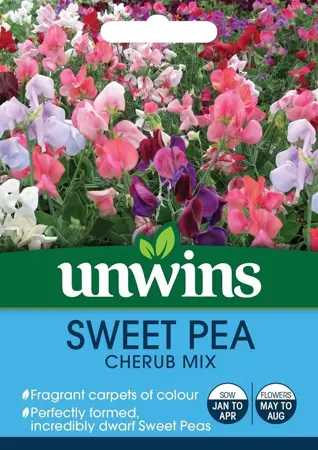 Sweet Pea Cherub Mix