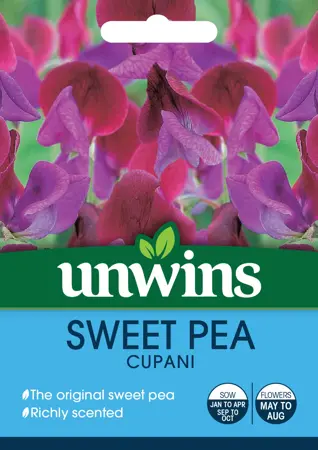 Sweet Pea Cupani - image 1