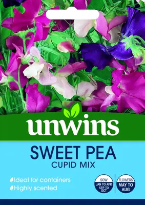 Sweet Pea Cupid Mix - image 2