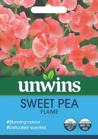 Sweet Pea Flame