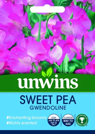 Sweet Pea Gwendoline - image 1