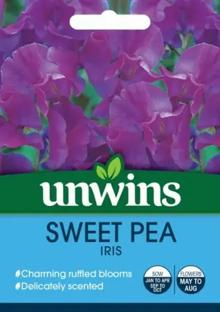 Sweet Pea Iris