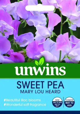 Sweet Pea Mary Lou Heard - image 2