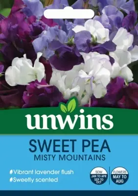 Sweet Pea Misty Mountains