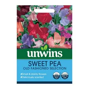 Sweet Pea Old Fashioned Mix