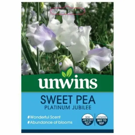 Sweet Pea Platinum Jubilee