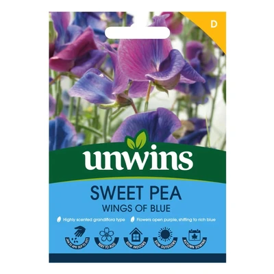 Sweet Pea Wings Of Blue