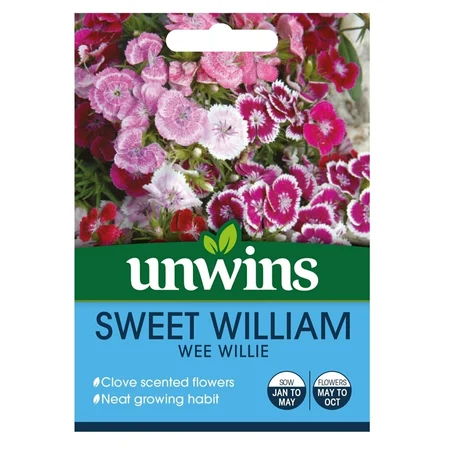 Sweet William Wee Willie