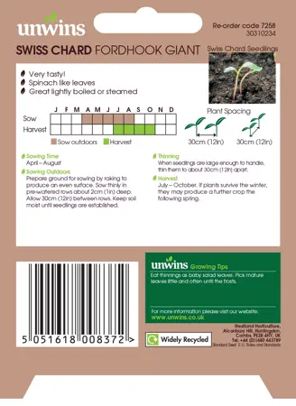 Swiss Chard Fordhook Giant - image 2