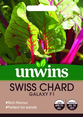 Swiss Chard Galaxy F1 - image 2