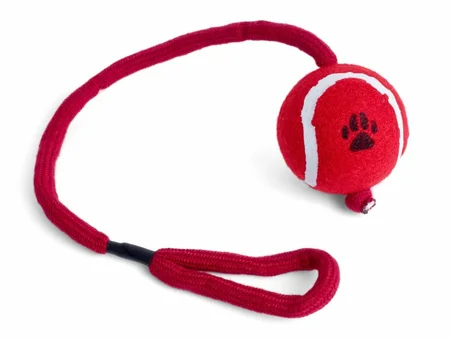 Tennis Ball On A Rope Dog Toy