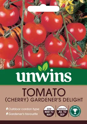 Tomato (Cherry) Gardener's Delight - image 2