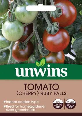 Tomato (Cherry) Ruby Falls - image 1