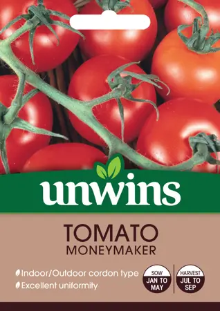 Tomato (Round) Moneymaker - image 1