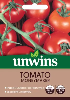 Tomato (Round) Moneymaker - image 2