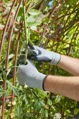 Touchscreen Puncture Resistant  L9 - image 2