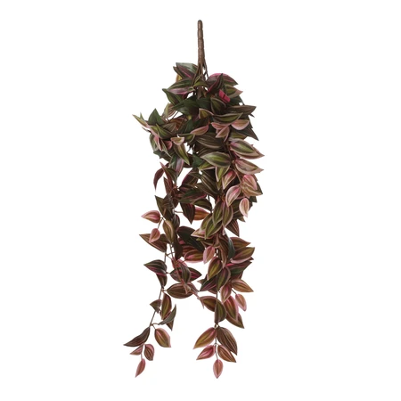 Tradescantia Hanging Bordeaux - L54Xw20Xh15Cm - image 1