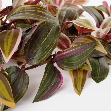 Tradescantia Hanging Bordeaux - L54Xw20Xh15Cm - image 2