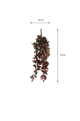 Tradescantia Hanging Bordeaux - L54Xw20Xh15Cm - image 5