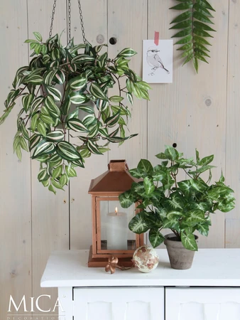 Tradescantia Hanging Green - L54Xw20Xh15Cm - image 6