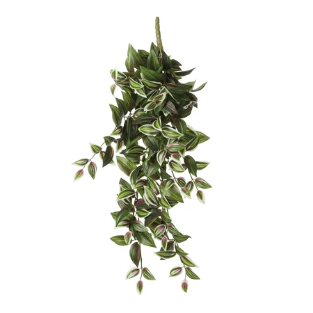 Tradescantia Hanging Green - L54Xw20Xh15Cm - image 1