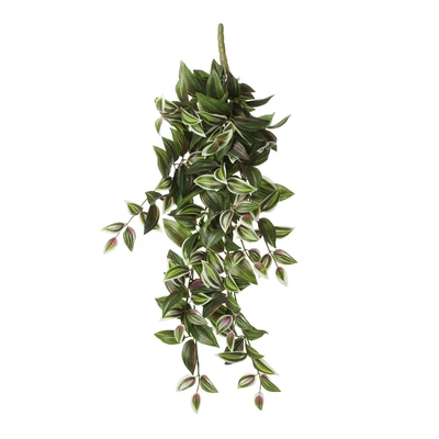 Tradescantia Hanging Green - L54Xw20Xh15Cm