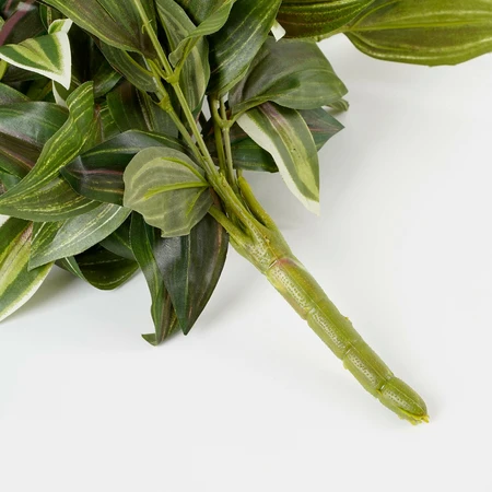 Tradescantia Hanging Green - L54Xw20Xh15Cm - image 4