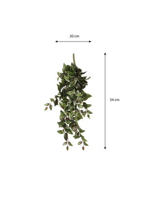 Tradescantia Hanging Green - L54Xw20Xh15Cm - image 5