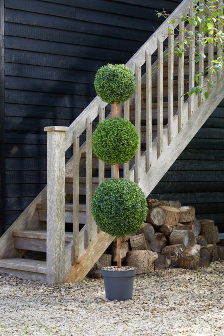 Trio Topiary Tree 150cm - image 1