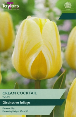 Tulip Cream Cocktail 11-12