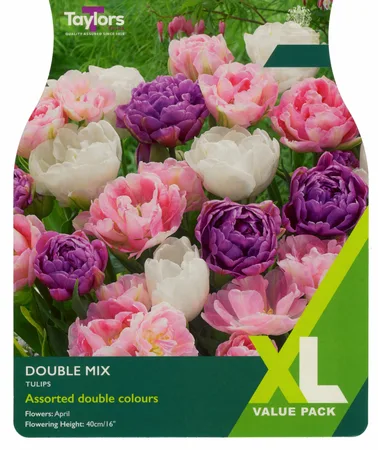 Tulip Double Mix 10-11 Xl