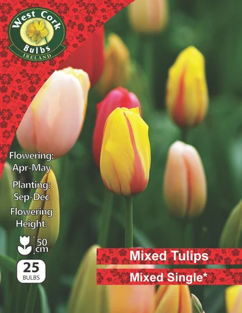 Tulip Mixed 25 Bulbs