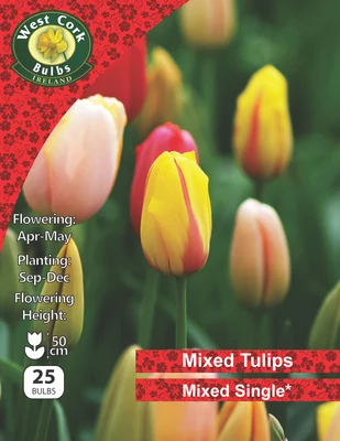 Tulip Mixed 25 Bulbs