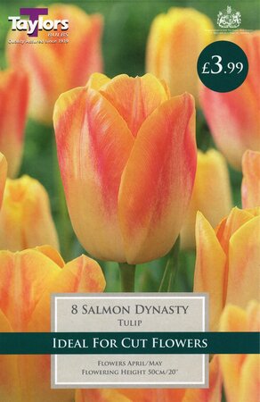 Tulip Salmon Dynasty 11-12