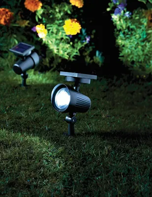 Ultra 365 Spotlight 30L - image 1