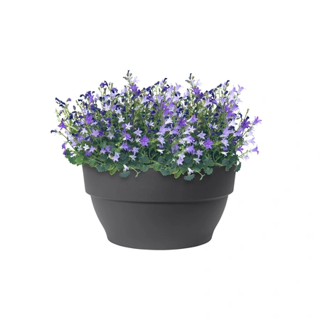 Vibia C Bowl 34Cm Anthracite