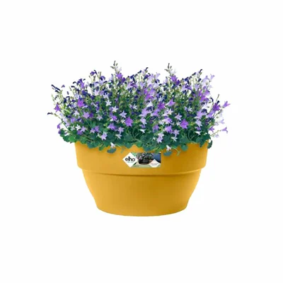 Vibia C Bowl 34Cm Honey Yellow