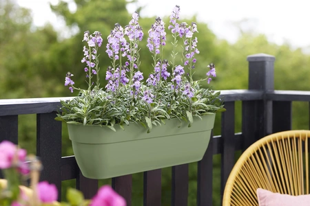 Vibia C Easy Hanger Xxl 70Cm Pistachio Green