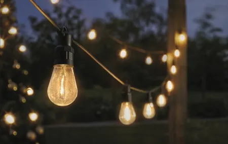 Vintage Festoon LV String Lights  Warm White - Set of 20 - image 2