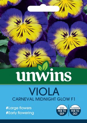 Viola Carneval Midnight Glow F1 - image 1