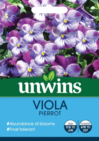 Viola Pierrot - image 1