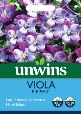 Viola Pierrot - image 2