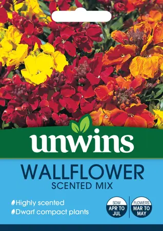 Wallflower Scented Mix - image 1