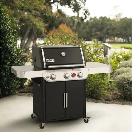 Weber Genesis E-325S