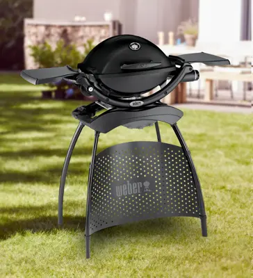 Weber® Q 1200 Gas barbecue With Stand Black